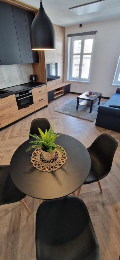 Apartament Ksiaz شفيبوجيتسه المظهر الخارجي الصورة