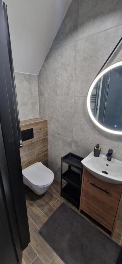 Apartament Ksiaz شفيبوجيتسه المظهر الخارجي الصورة