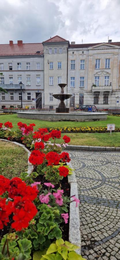 Apartament Ksiaz شفيبوجيتسه المظهر الخارجي الصورة